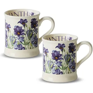 MIATTCLD Porzellan Kaffeetassen 2er Set 380ml Große Kaffeebecher Blume Schmetterling Design Vintage Teetasse mit Griff für Cappuccino, Kaffee, Tee, Büro Geschenk Becher Set (Ballonblume)