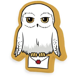 HARRY POTTER Dekokissen 36 x 29 cm Bunt