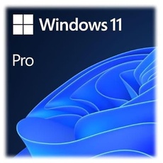 Ernitec Windows 11 Pro OEM-Marke