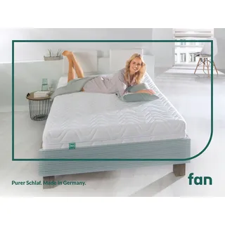 fan 7-Zonen Kaltschaummatratze 140 x 200 cm H3