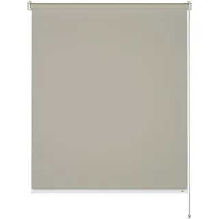 Schöner Wohnen SCHÖNER WOHNEN-Kollektion Seitenzugrollo »Tageslichtrollo Tizia« 100 cm x 150 beige,