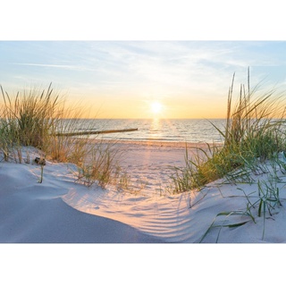 Runa Art Fototapeten 396 x 280 cm Strand Sonnenuntergang - Vlies Wanddekoration Wohnzimmer Schlafzimmer - Deutsche Manufaktur - Meer Natur 9559012a