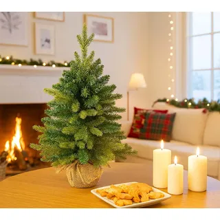 Evergreen Weihnachtsbaum Expe 60 cm