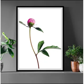 Queence Bild »Manuel« Blumen Blumenbilder Foto Kunst Pflanzenbilder, grün