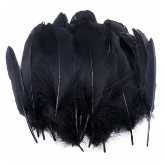 pangutheos 250 Stück Federn zum Basteln, 10-20cm, Feder für Traumfänger | Natürliche Federn, Schwarze Bastelfedern, 3 Größen, DIY Handwerk, Halloween, Ostern, Urlaubsparty, Hochzeit Deko