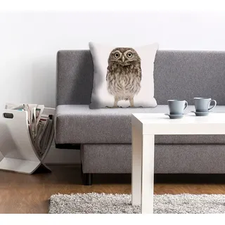 queence Dekokissen »Kelly« Kissenhülle,Weißer Hintergrund,Eule,Tiermotiv,Niedlich,Zart, grau