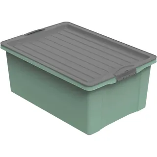 Rotho Stapelbox Compact A3 38 l Grün