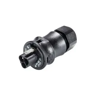 Wieland Electric 96.032.0153.1 Rundstecker Stecker, gerade Gesamtpolzahl: 3 1 St.