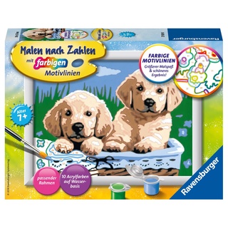 Ravensburger Malen nach Zahlen Süße Hundewelpen