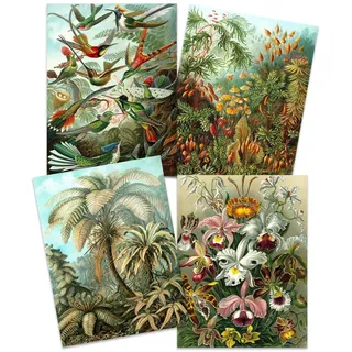 Artery8 Ernst Haeckel Kunstformen Der Natur Plates Nature Vintage Birds Flora Fauna Biology Art Print Poster Home Decor Premium Pack of 4 Kunstformen der Natur
