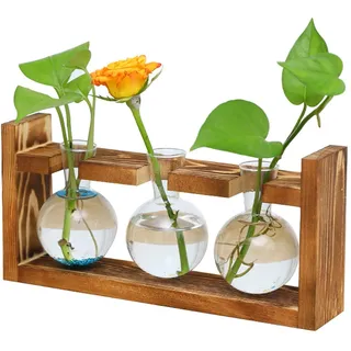 Glas Propagation Station für Pflanzen, Pflanzenterrarium mit Holzständer, Ableger Pflanzen Glas, für Home Büro Regal Fensterbank Tischdeko, für Frauen Männer Geburtstagsgeschenk (U-Shaped)