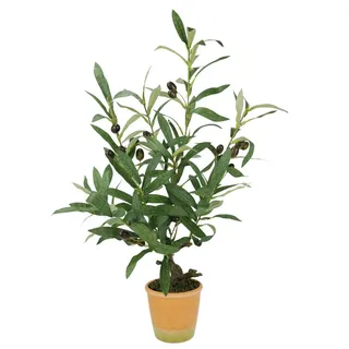 I.GE.A. Kunstpflanze »Künstlicher Olivenbaum mit schwarzen Früchten« Olive Mediterran Ölbaum Grünpflanze Kunstbaum Dekobaum Baum, grün