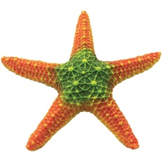 ICA Seestern, Orange, 18,5 cm, 240 g