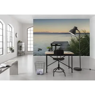 KOMAR Pastell 450 x 280 cm