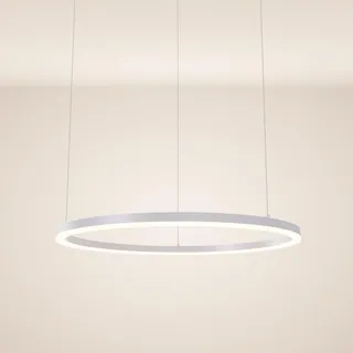 s.luce Led-Hängeleuchte Ring Direkt/Indirekt 5m Weiß Ø 80cm , Metall , Rund,Rund , LED integrated , 80x3.3x80 cm , Lampen & Leuchten, LED Beleuchtung, LED-Hängeleuchten