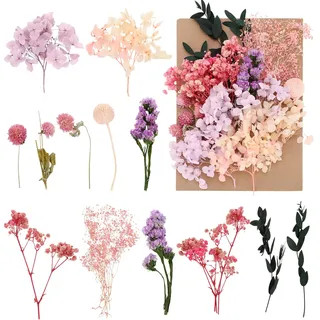 Halinuia Natürliche Getrocknete Blumen, Trockenblumen Deko | Violett, Rosa, Trockenblumen zum Basteln, Für DIY, Kerze, Handwerk, Scrapbooking, Bilderrahmen Dekoration