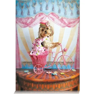 STAR Puzzle Schneemann Traveler 500 Teile