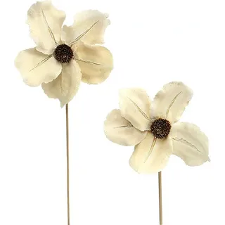 Gebleichte Holzblüte Stecker, Tischdeko Trauer Gesteck Weihnachten, Natur Ø9-12cm L45cm, 15 Stück