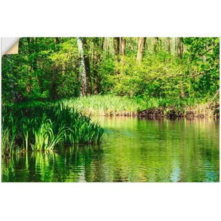 Artland Poster »Landschaft im Spreewald bei Lübbenau II«, Wald, (1 St.), als Alubild, Leinwandbild, Wandaufkleber oder Poster in versch. Größen, grün