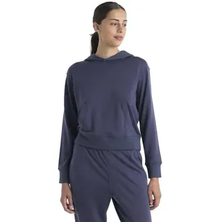 Icebreaker Crush Ii Hoodie Grau S