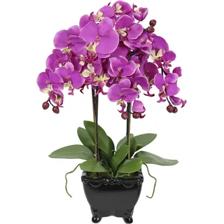 I.GE.A. Kunstblume »Künstliche Orchidee in Schale Phalaenopsis Kunstblume Blume«, Kunstorchidee Deko Dekoblume Seidenblume I.GE.A. dunkelrosa