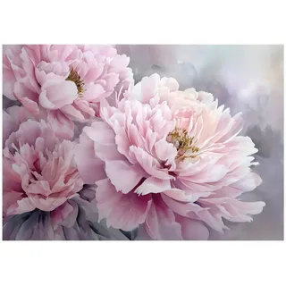 WallArena Fototapete Blumen Pfingstrosen Rosa 350x250 cm