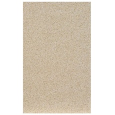 Bild Vermiculite Platte 49,8 x 30,3 cm beige/gelb