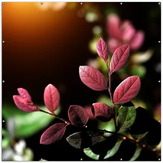 Wallario XXL Outdoor-Poster für Garten oder Balkon, Motiv Rote und grüne Blätter an einem Zweig, in ca. 200 x 200 cm - Schwarz