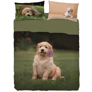 Komplettes Set BASSETTI Stück Pupsschleim 1 Quadrat