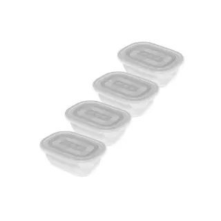Rotho FREEZE Gefrierdosen, Frischhaltedose mit Deckel, 1 Set = 4 x 0,5 Liter
