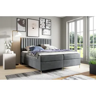 GUTTO Boxspringbett JILL 120 x 200cm 2x Bettkasten TOPPER 5cm Gratis Grau Velour hohe goldene Beine - Grau