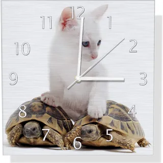 Wallario Design Wanduhr Katze auf Schildkröten aus Aluverbund, Größe 30 x 30 cm - Weiß