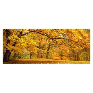 Tulup® Küchenrückwand Spritzschutz aus Glas -125x50 -Spritzschutz auf gehärtetes Glas Deko Landschaften Herbst im Park