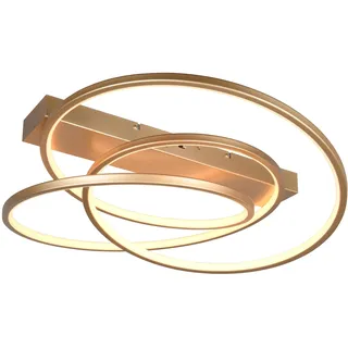 Trio Darvin 1-flg. rund goldfarbig