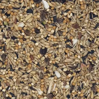 Versele-Laga Neophemen Papageien 20 kg