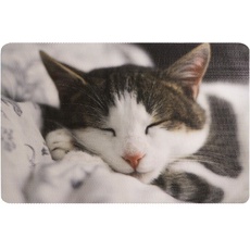 Katzenstreu-Matte, kleine Katzenstreu-Fangmatte, 22,4 "X15", wasserdichte Katzenmatte für Katzentoilette, leicht zu reinigen, waschbares PVC Werkstoff