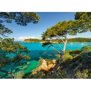Ravensburger Puzzle Schöne Aussicht 500 Teile