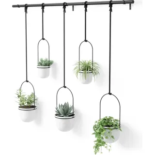Hängende Pflanzenkübel - Für Sukkulenten und Kräuter - Set von 5 - Weiß