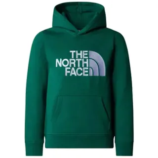 The North Face Kinder Boys Drew Peak Hoodie (Größe S, gruen)