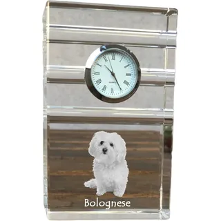 Bologneser, Bichon Bolognese - Glasuhr mit Foto, Foto eines Hundes im Kristall, personalisierte Tischuhr für das Büro der Marke Art-Dog - Transparent