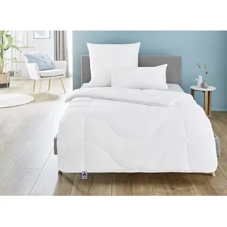 IRISETTE Micro Thermo 4-Jahreszeitendecke, Steppbett mit Bezug aus softer Microfaser für alle Jahreszeiten, 220 x 240 cm, Öko Tex zertifiziert, produziert nach deutschem Qualitätsstandard