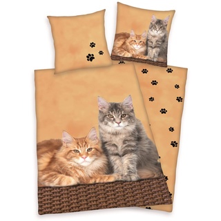 Bertels Textil Katzen multi (135x200+80x80cm)