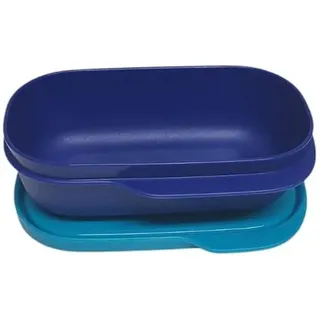 Tupperware to Go Lunchbox Clevere Pause 120ml Brotdose mit Trennwand Eco+ Schule (120ml blau türkis)