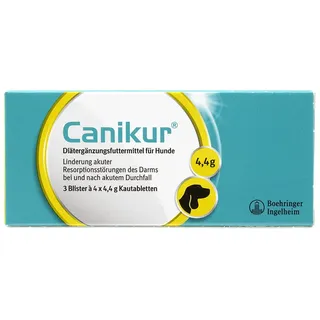 Boehringer Ingelheim Canikur Tabletten 12 St.