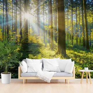 Wald Sonnige Vliestapete 308x220 cm, Natur Landschaft Selbstklebende Tapete | Wasserfest Fototapete, Naturthema Grün Tapete Wohnzimmer Schlafzimmer Kinderzimmer Küche Wanddeko