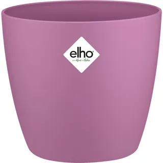 brussels rund mini 7cm kräftiges violet