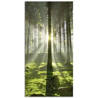 ARTland Wanddeko Glasbilder Wandbild Glas Bild einteilig 30x60 cm Hochformat Natur Wald Landschaft Sonne Bäume Moos Frühling Landhaus T5SV ARTland