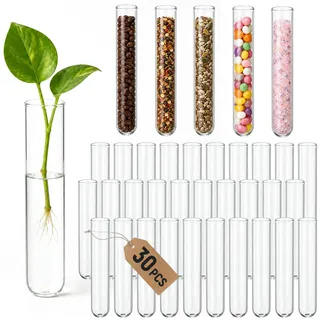 Forhandy 30 Stück Reagenzgläser, Reagenzglas Vase Borosilikatglas | Glasröhrchen Transparent für Blumen Pflanzen Hydrokultur DIY-Handwerk (120x20mm Rundboden)