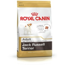 Bild Jack Russell Terrier Adult 7,5 kg