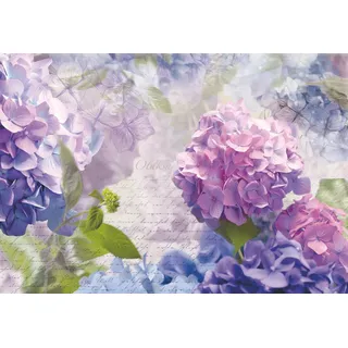 KOMAR Fototapete Otaksa 368 x 254 cm